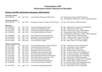 Prämienfohlen Warmblut 2008 - Pferdezuchtverband Niederbayern ...