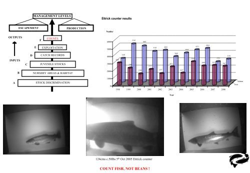 So what is Fishery Management? - RAFTS