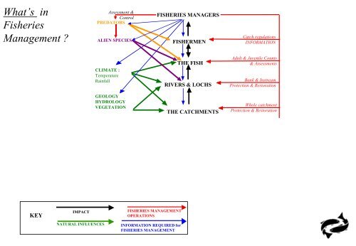 So what is Fishery Management? - RAFTS