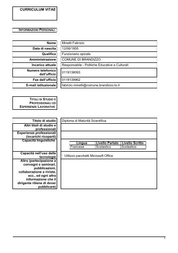 curriculum vitae - Comune di Brandizzo