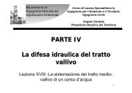PARTE IV La difesa idraulica del tratto vallivo - Dipartimento di ...