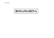 Diga Rosamarina