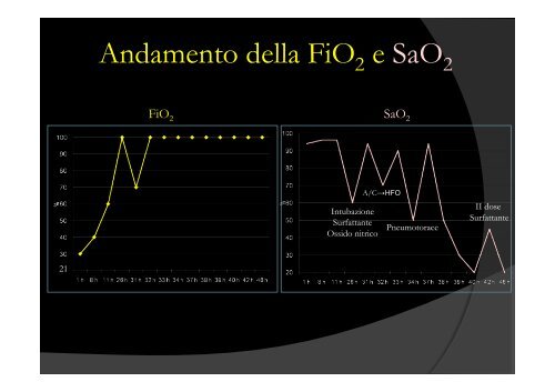 Candida per SIN [1]