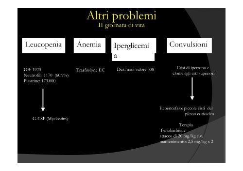 Candida per SIN [1]