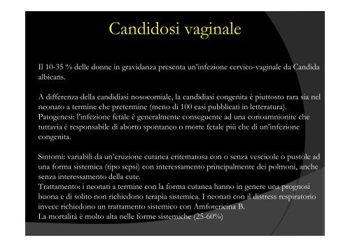 Candida per SIN [1]