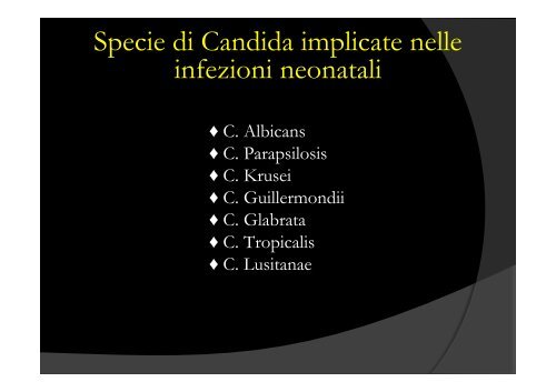 Candida per SIN [1]