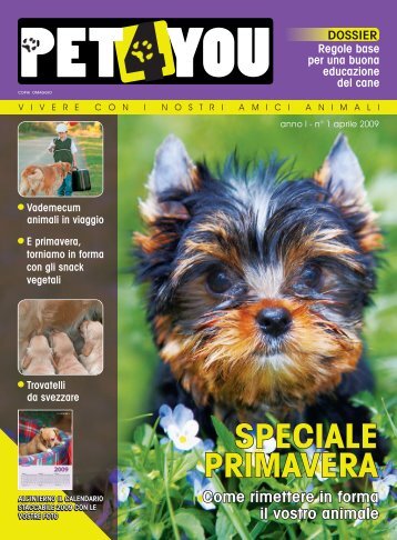 Numero 01 - Pet4You