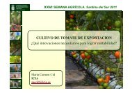 Cultivo de tomate de exportaciÃ³n. MarÃ­a Carmen Cid, ICIA