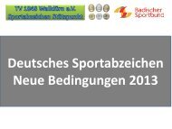 DSA Bedingungen 2013