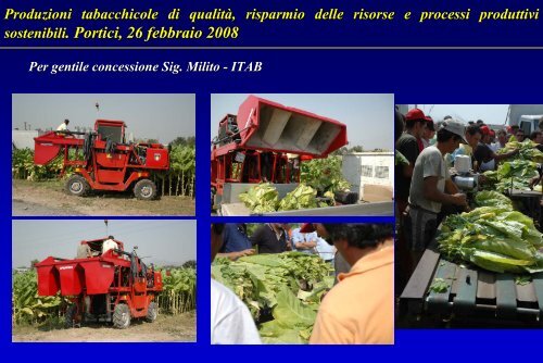 Produzioni tabacchicole di qualitÃ , risparmio delle risorse e processi ...