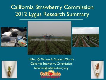 California Strawberry Commission 2012 Lygus Research Summary