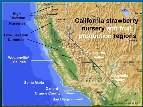 Soilborne Pathogen Control in UC Cultivars, Kirk Larson