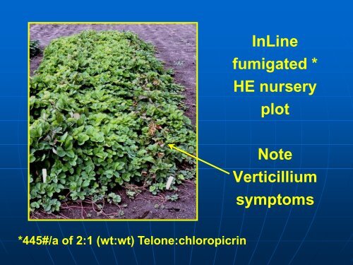 Soilborne Pathogen Control in UC Cultivars, Kirk Larson