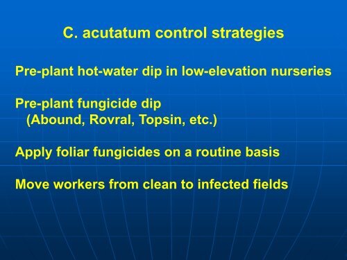 Soilborne Pathogen Control in UC Cultivars, Kirk Larson