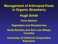 Organic Strawberry Pest Management - Santa Barbara County ...