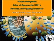 Influenza A Viruses - JosÃ© Mordoh