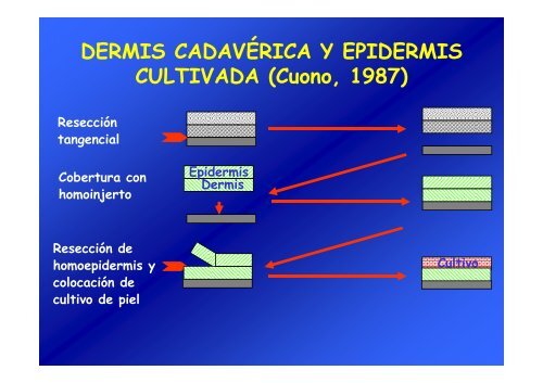 INGENIERÃA DE TEJIDOS