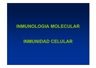 INMUNOLOGIA MOLECULAR INMUNIDAD CELULAR - JosÃ© Mordoh