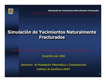 SimulaciÃ³n de Yacimientos Naturalmente Fracturados SimulaciÃ³n ...