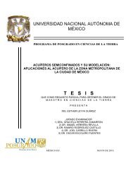 T   E   S   I   S - ModelaciÃ³n MatemÃ¡tica y Computacional - UNAM