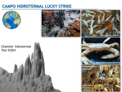 campo hidrotermal lucky strike