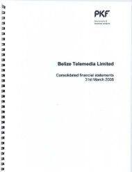 financial statements - Belize Telemedia Limited