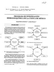 programa de investigacion hidrogeoquimica de la cuenca ... - UNAM