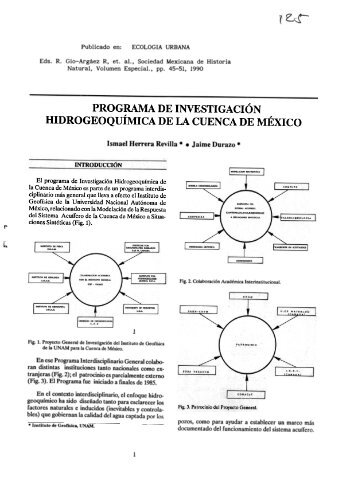 programa de investigacion hidrogeoquimica de la cuenca ... - UNAM