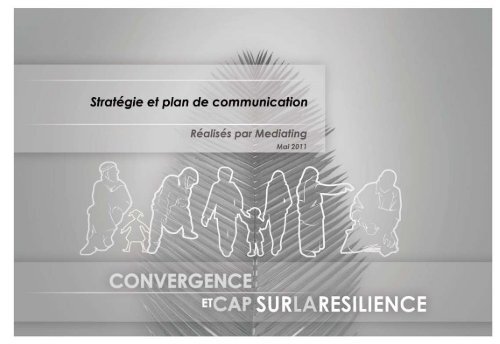 V - Plan de communication. - Africa Adaptation Programme