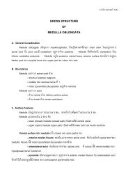 MEDULLA OBLONGATA - elearning.dt.mahidol.ac.th