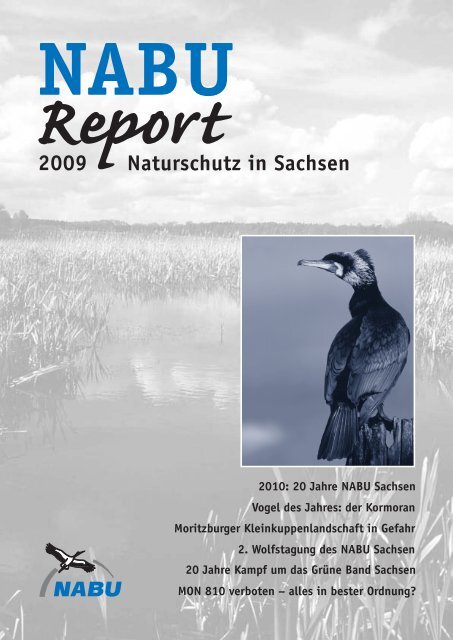 Download als PDF - NABU Sachsen