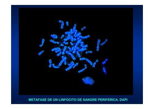 ENFERMEDADES GENETICAS - JosÃ© Mordoh