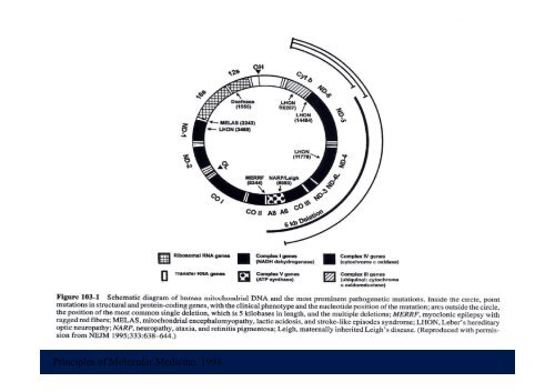 ENFERMEDADES GENETICAS - JosÃ© Mordoh