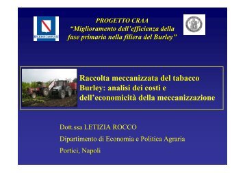 Raccolta meccanizzata del tabacco Burley: analisi dei costi e dell ...