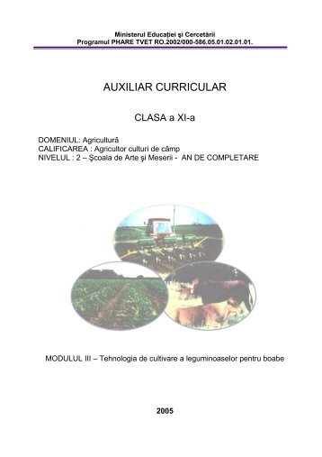 AUXILIAR CURRICULAR - cndipt