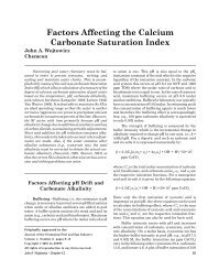 Factors Affecting the Calcium Carbonate Saturation Index