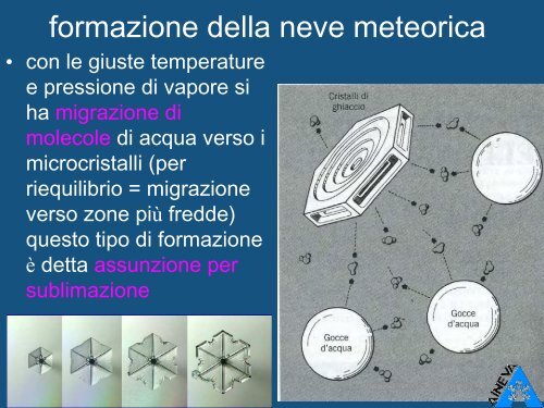 Neve - Divertirsi in sicurezza - Parco Naturale delle Prealpi Giulie