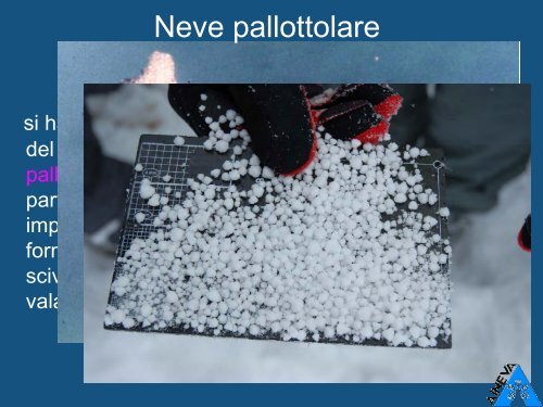 Neve - Divertirsi in sicurezza - Parco Naturale delle Prealpi Giulie