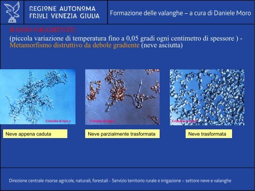 Neve - Divertirsi in sicurezza - Parco Naturale delle Prealpi Giulie