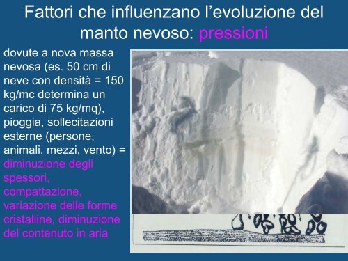 Neve - Divertirsi in sicurezza - Parco Naturale delle Prealpi Giulie