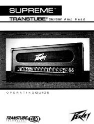 TRAN8TUB~~ ~G-;u~x;EsP Amp Head - Peavey