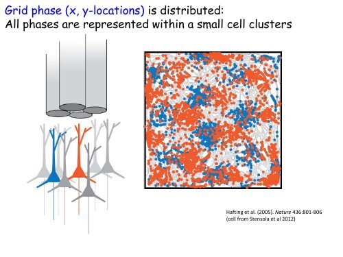 edvard-moser-lecture-slides