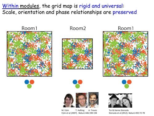 edvard-moser-lecture-slides