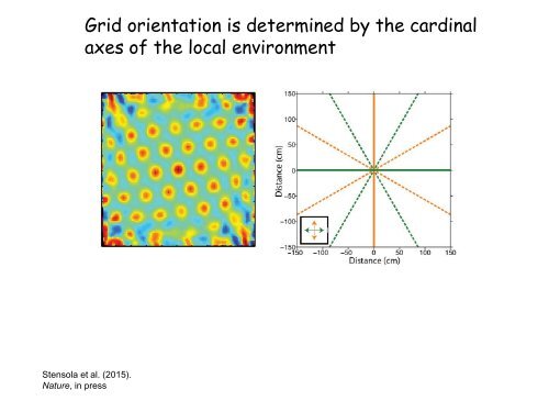 edvard-moser-lecture-slides