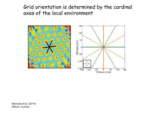 edvard-moser-lecture-slides