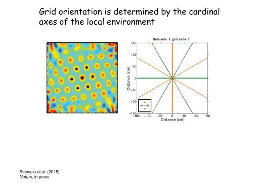 edvard-moser-lecture-slides