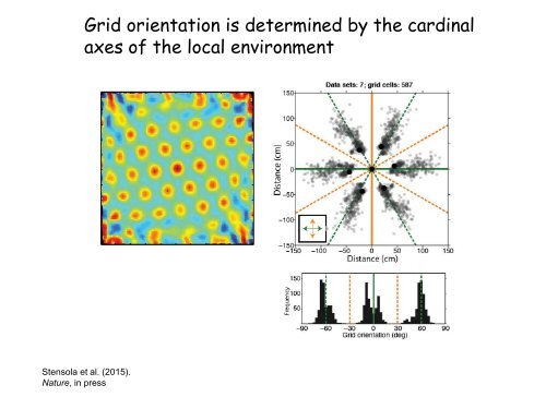 edvard-moser-lecture-slides