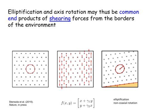 edvard-moser-lecture-slides