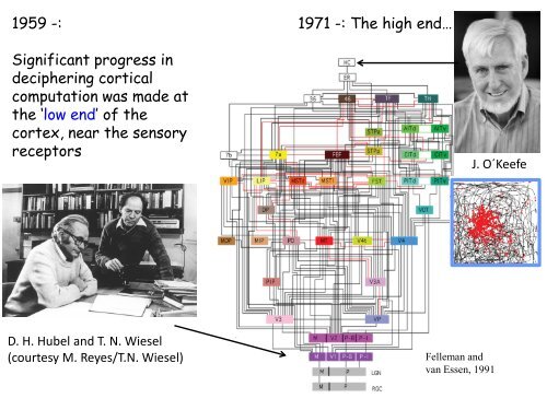 edvard-moser-lecture-slides