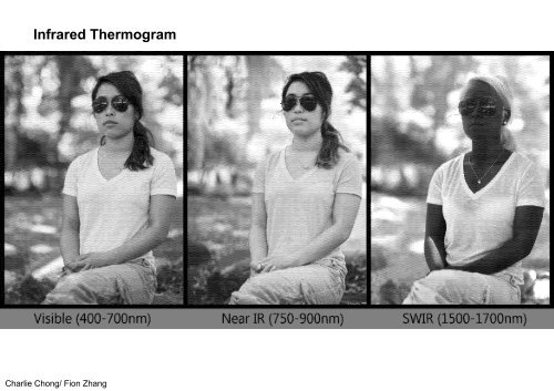 Understanding Infrared Thermography Reading 3